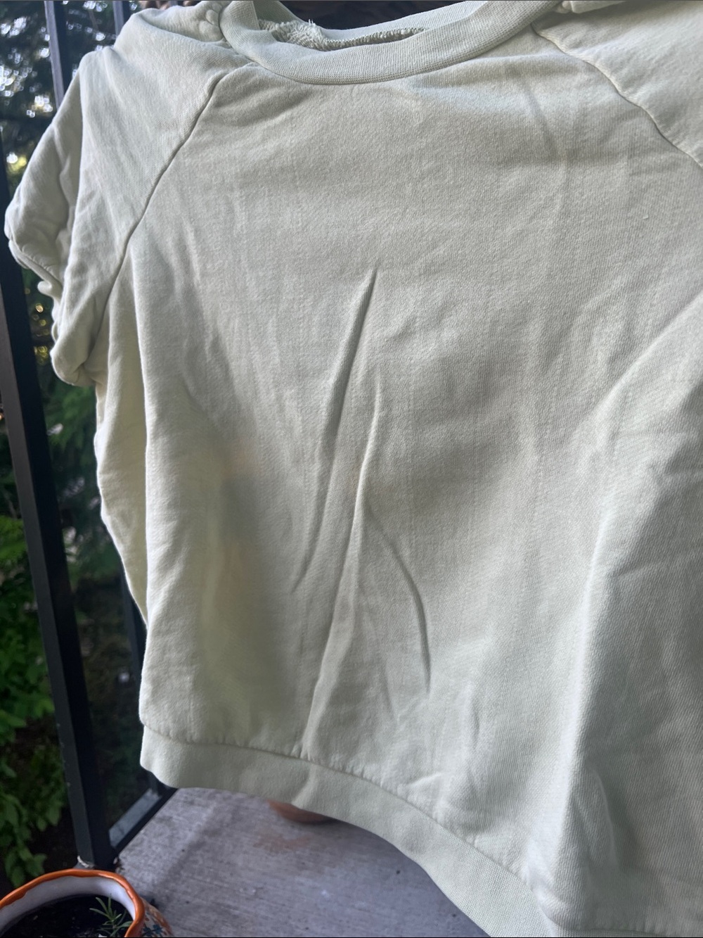 Madewell Pale Sage Short Sleeve Sweatshirt - Picture 10 of 10
